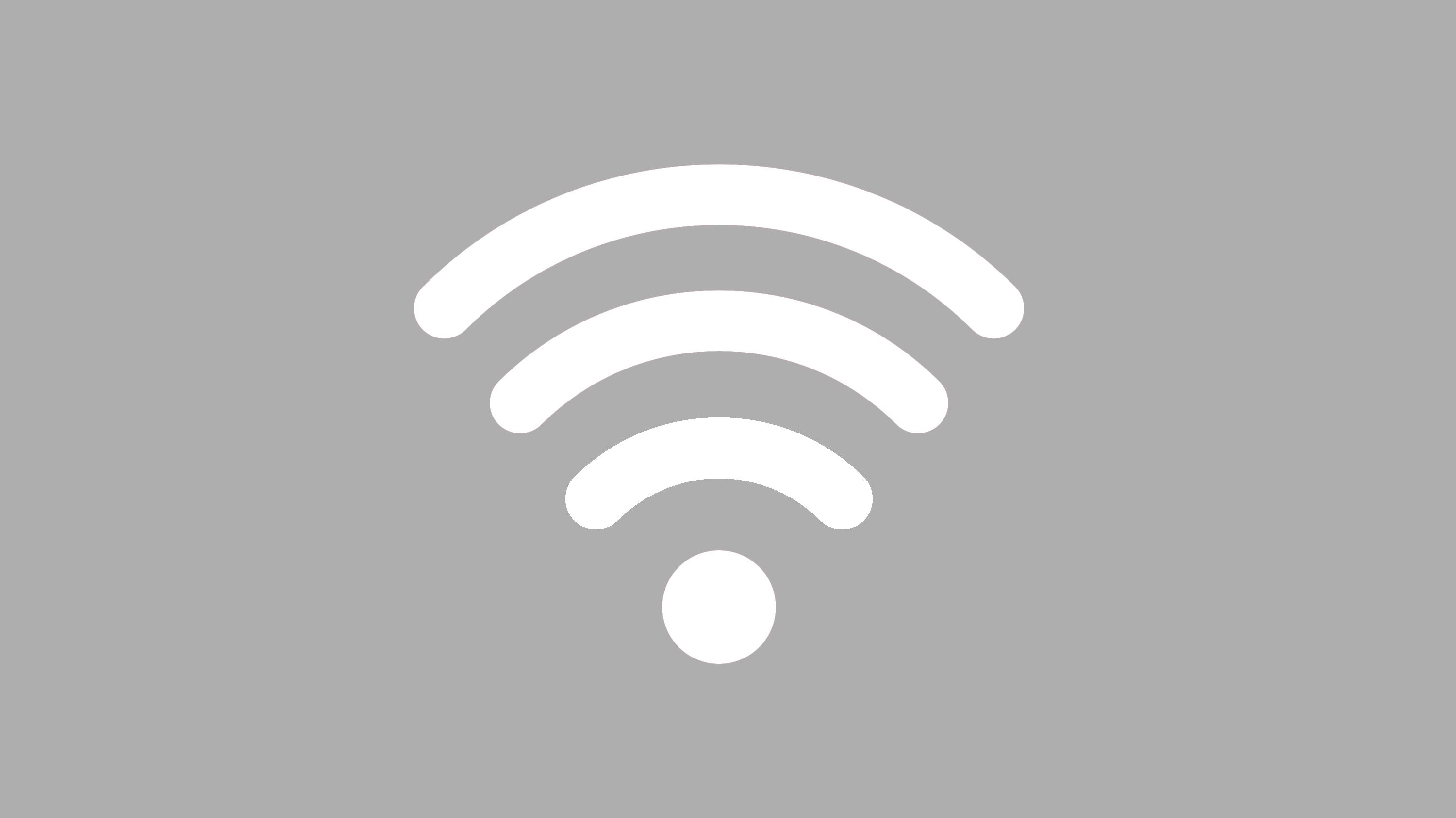 Option WLAN